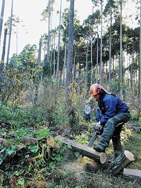 荒れた森を間伐し整地