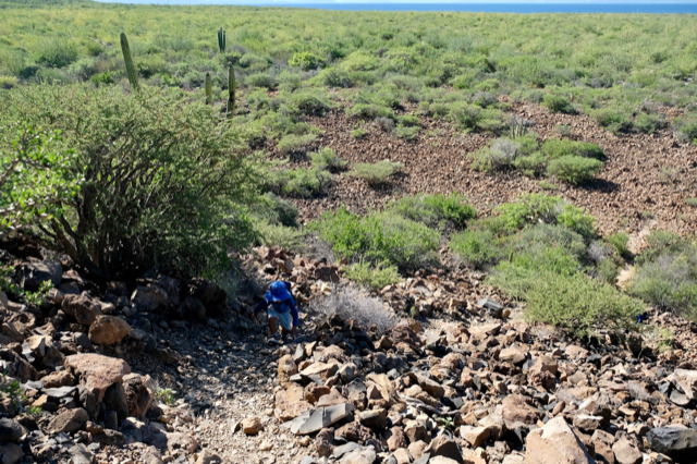 メキシコのコロナド島で体験した「灼熱ハイキング」をご紹介！