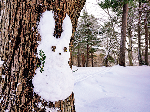 雪うさぎ