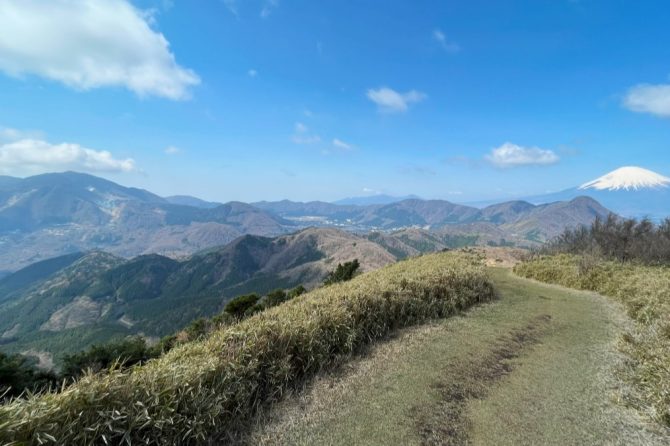 箱根の明神ヶ岳でおすすめの登山ルートをご紹介！富士山を望む展望抜群の山頂と「黄金の笹道」