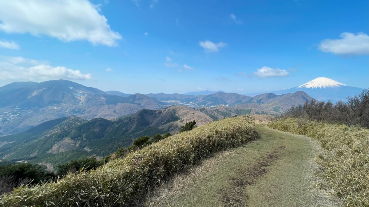 箱根の明神ヶ岳でおすすめの登山ルートをご紹介！富士山を望む展望抜群の山頂と「黄金の笹道」