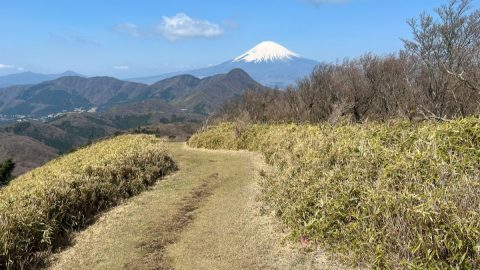 神奈川のおすすめハイキングコース11選｜日帰りで楽しめる眺望抜群のコースを紹介