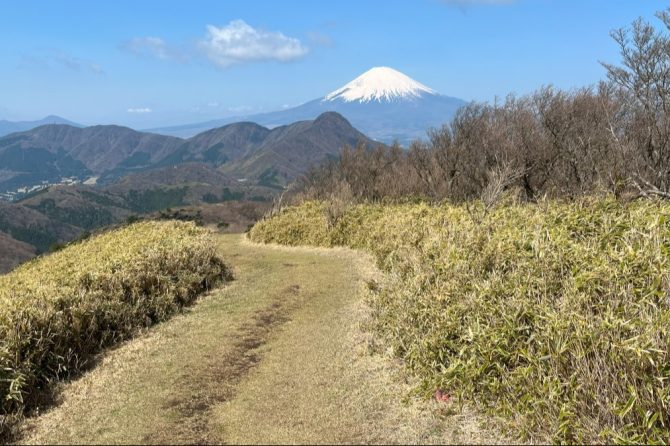 神奈川のおすすめハイキングコース11選｜日帰りで楽しめる眺望抜群のコースを紹介