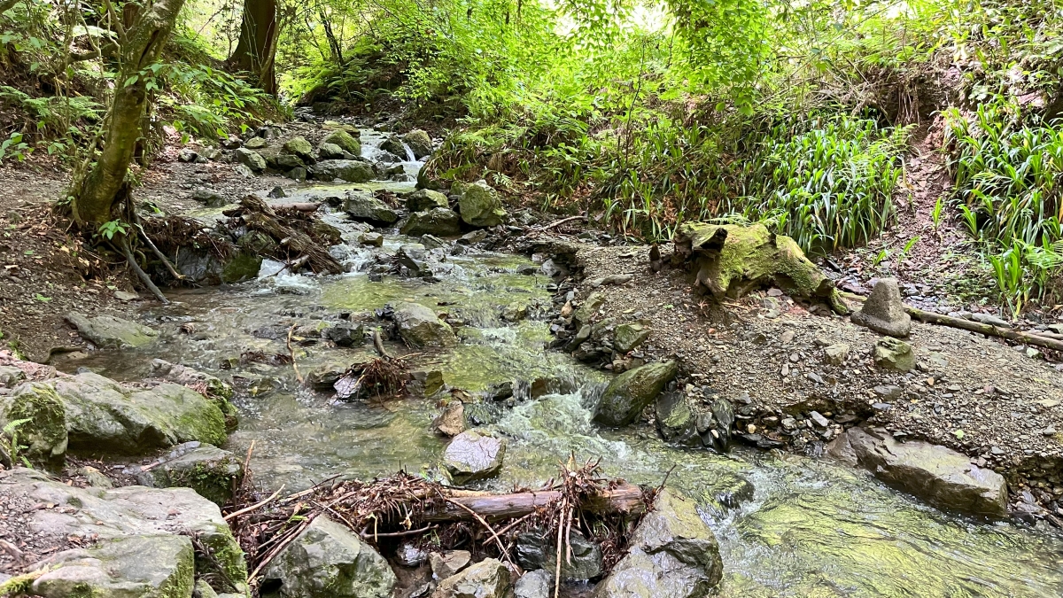 高尾山6号路の風景