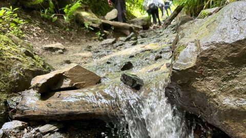 高尾山は川沿いを歩くマイナスイオンたっぷりの6号路がおすすめ！終盤はきつい急こう配あり