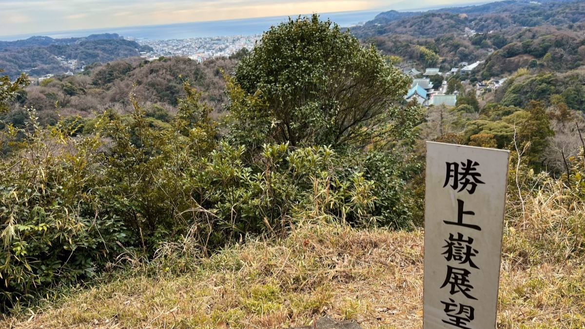 勝上山の山頂