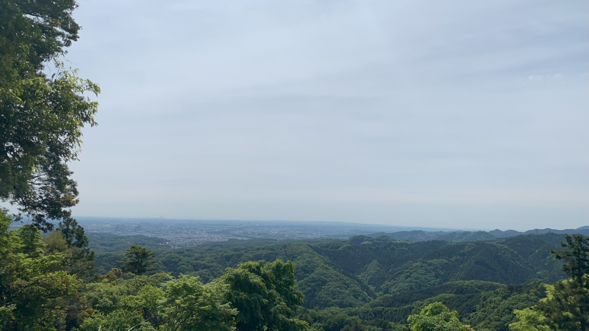 高尾山から東京を見下ろす