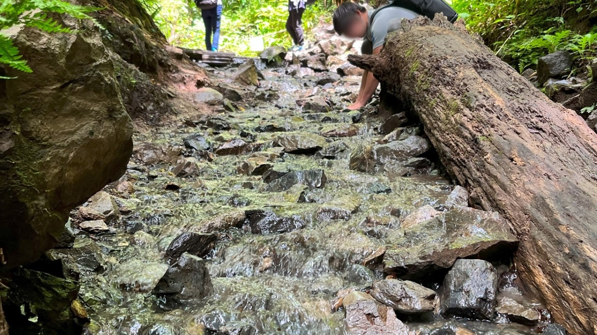 川の中を歩ける山道