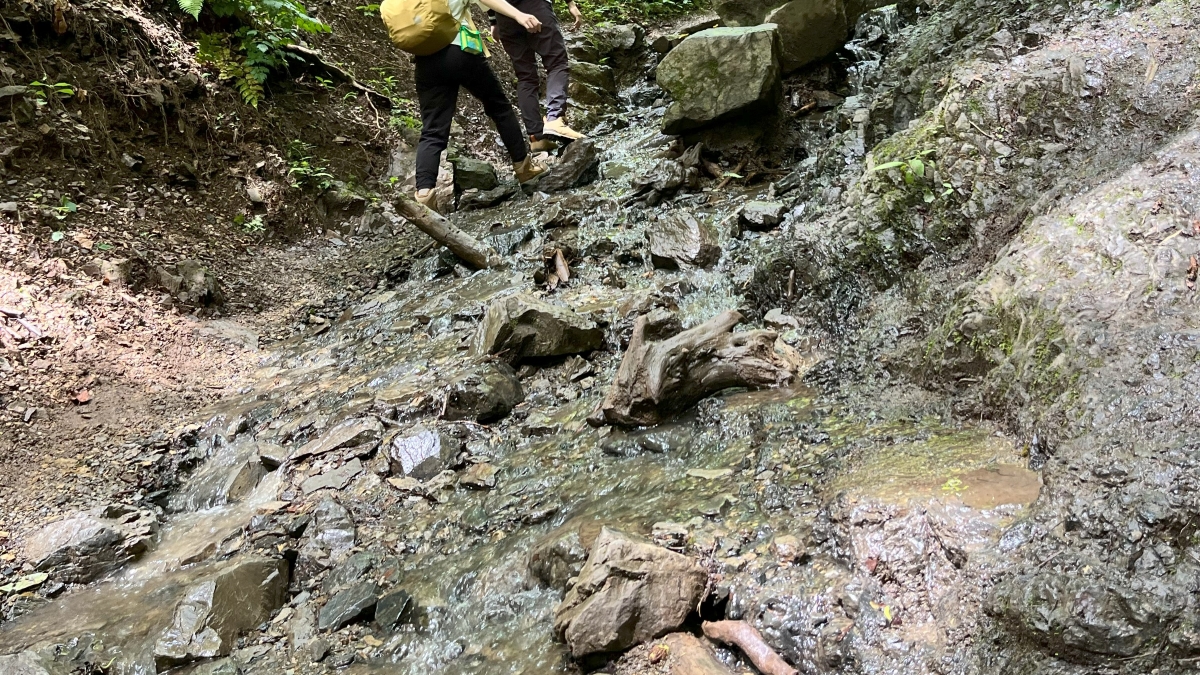 沢登り気分を味わえる道