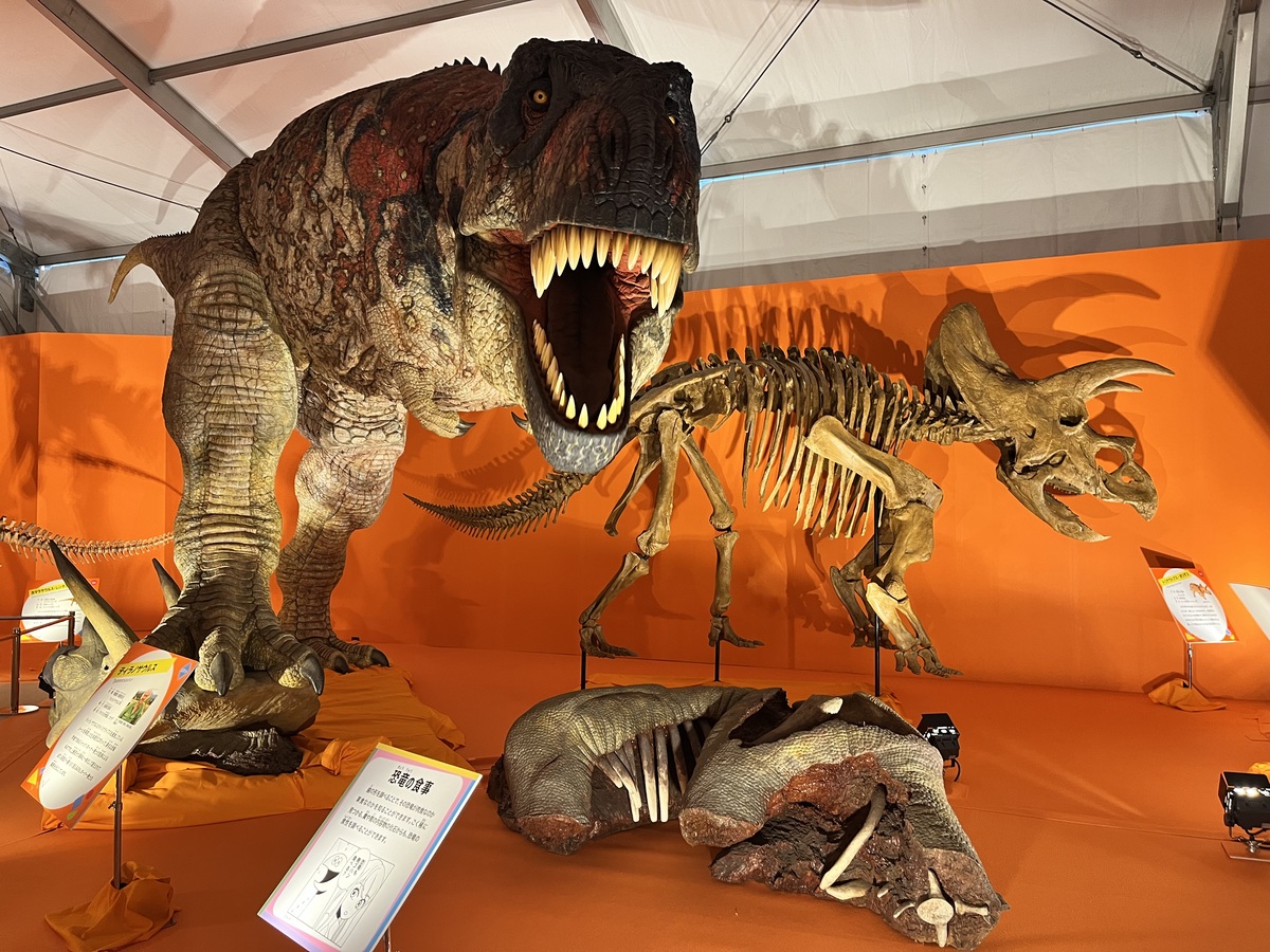 大人も驚く「オダイバ恐竜博覧会2024」レビュー！迫力満点のロボット恐竜に化石の発掘体験