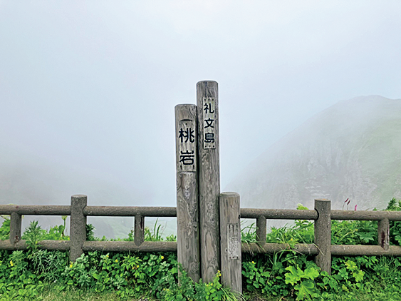 桃岩展望台