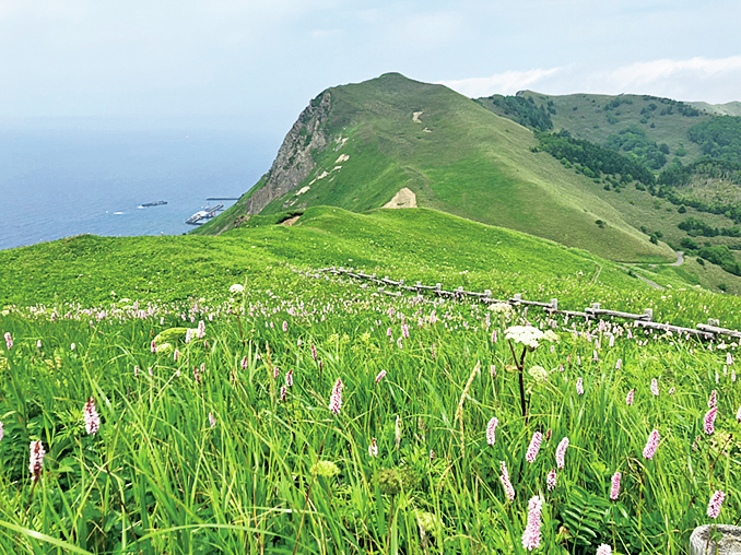 礼文島