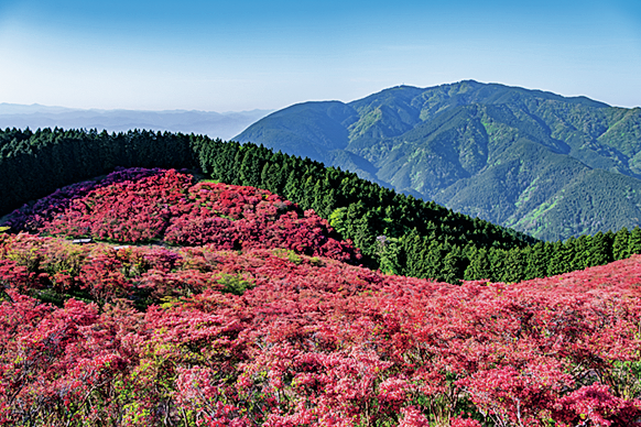 大和葛城山