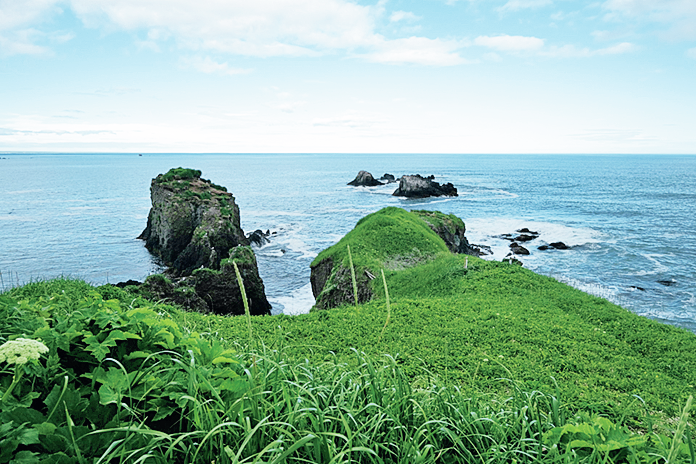 霧多布湿原