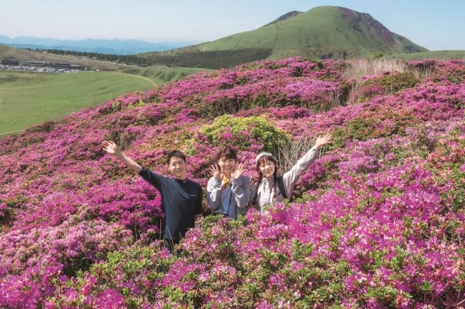 山登りの達人6人のいち推しをご紹介！ 山で、フィールドで楽しめる全国お花見ハイクスポット18選