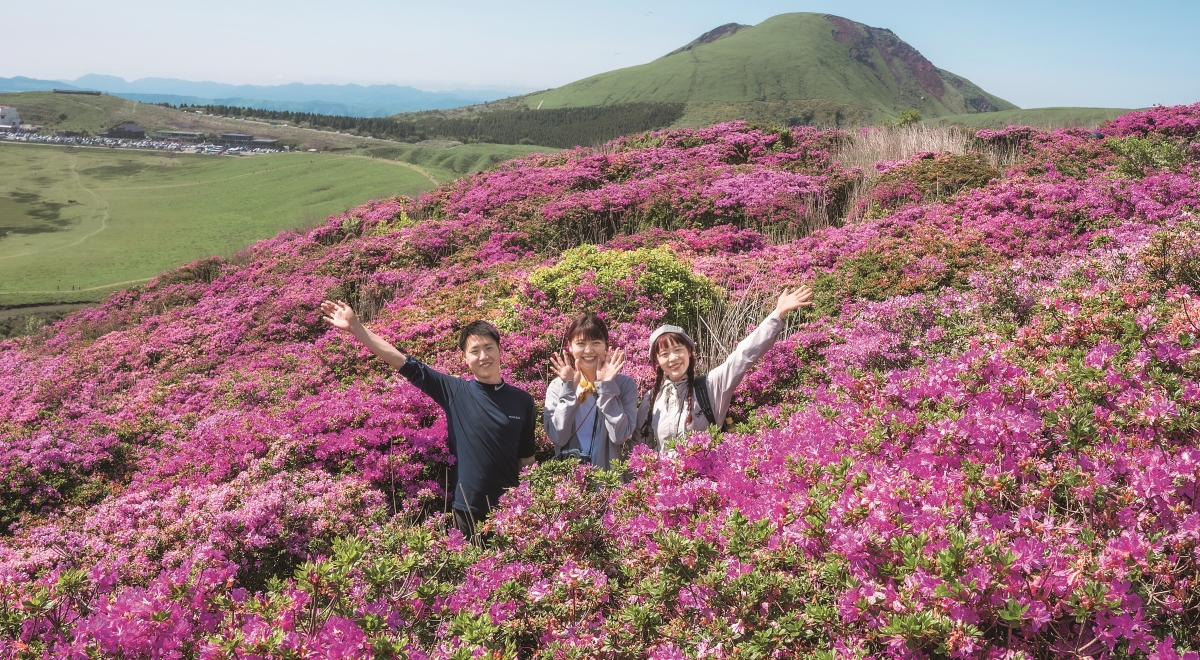 山登りの達人6人のいち推しをご紹介！ 山で、フィールドで楽しめる全国お花見ハイクスポット18選