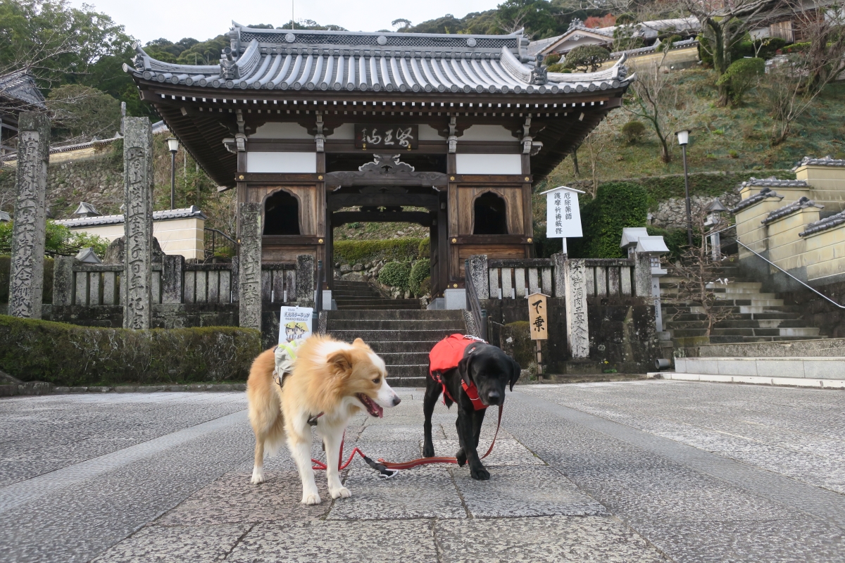 日和佐の薬王寺