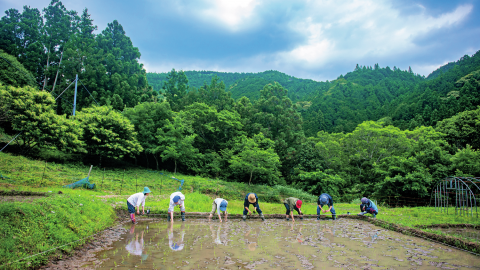 耕しながら旅をする！土に根ざす生き方を学ぶ「WWOOF」のファームステイ