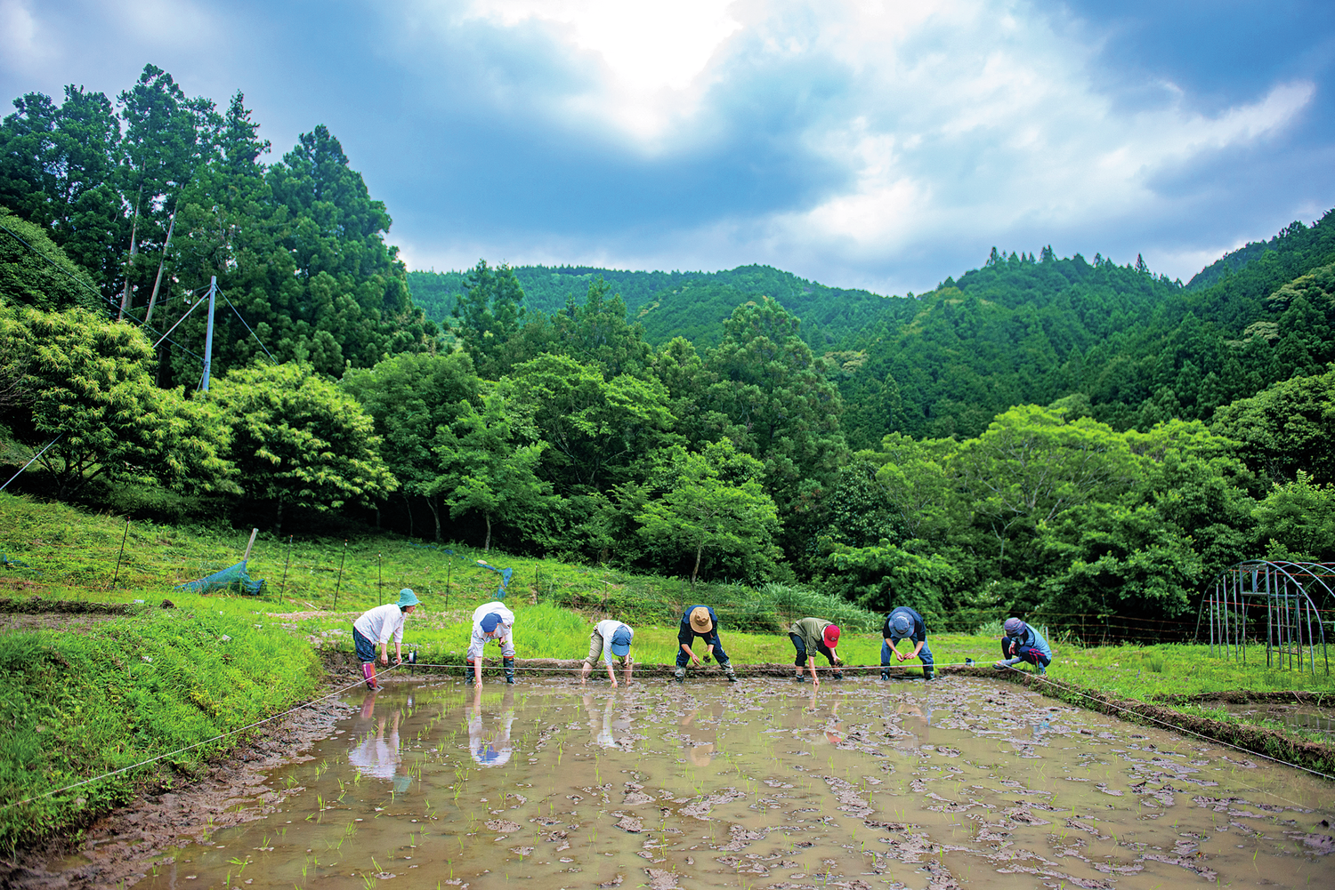 耕しながら旅をする！土に根ざす生き方を学ぶ「WWOOF」のファームステイ