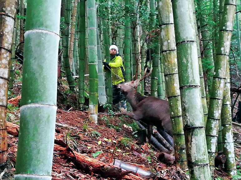 寒山拾得