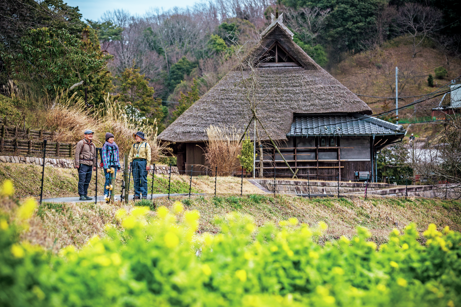 野鳥との出会いも！兵庫・あいな里山公園でお花見ハイクのすすめ