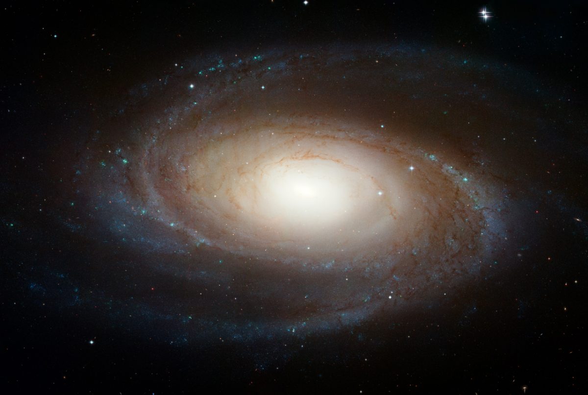 Ｍ81