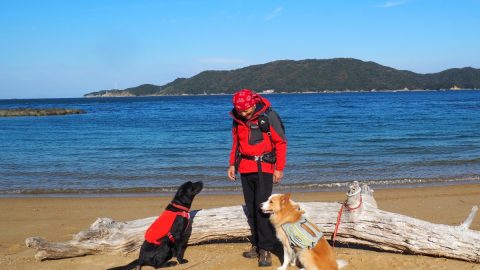 シェルパ斉藤、愛犬と軽バン「N-VAN」に乗って四国・徳島をめざす！