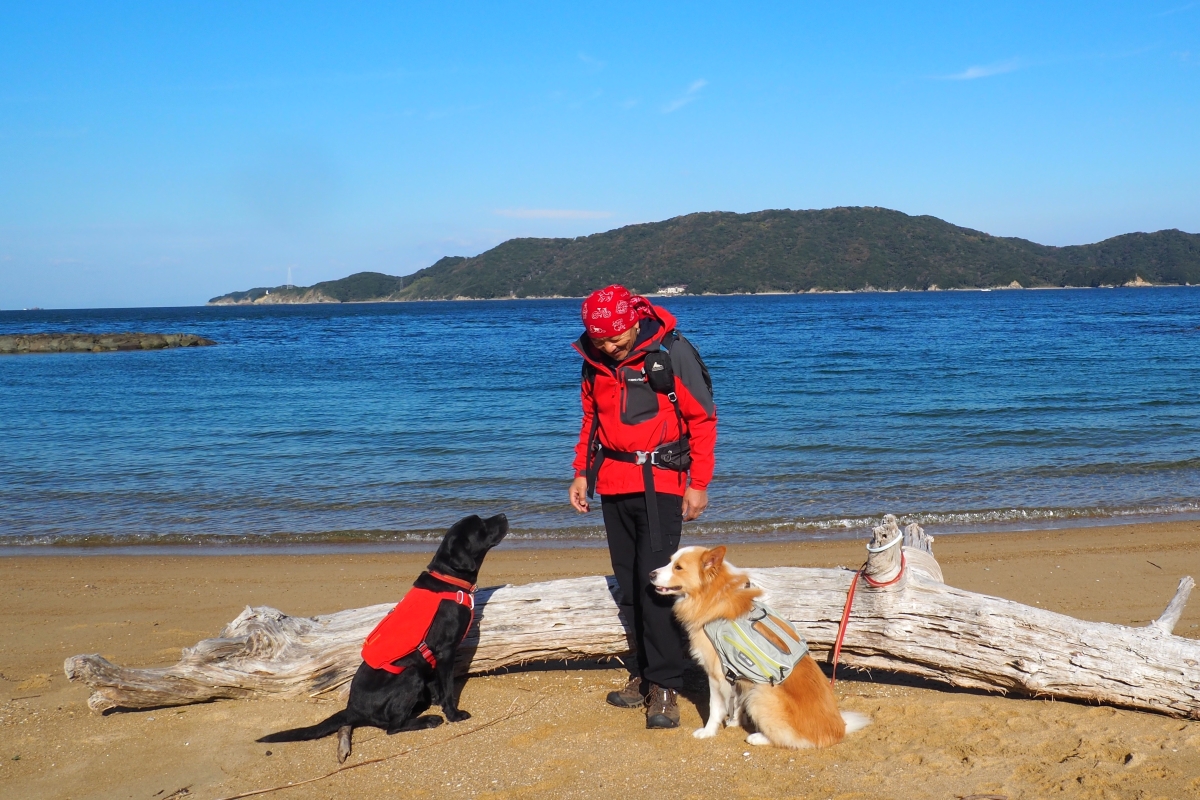 シェルパ斉藤、愛犬と軽バン「N-VAN」に乗って四国・徳島をめざす！