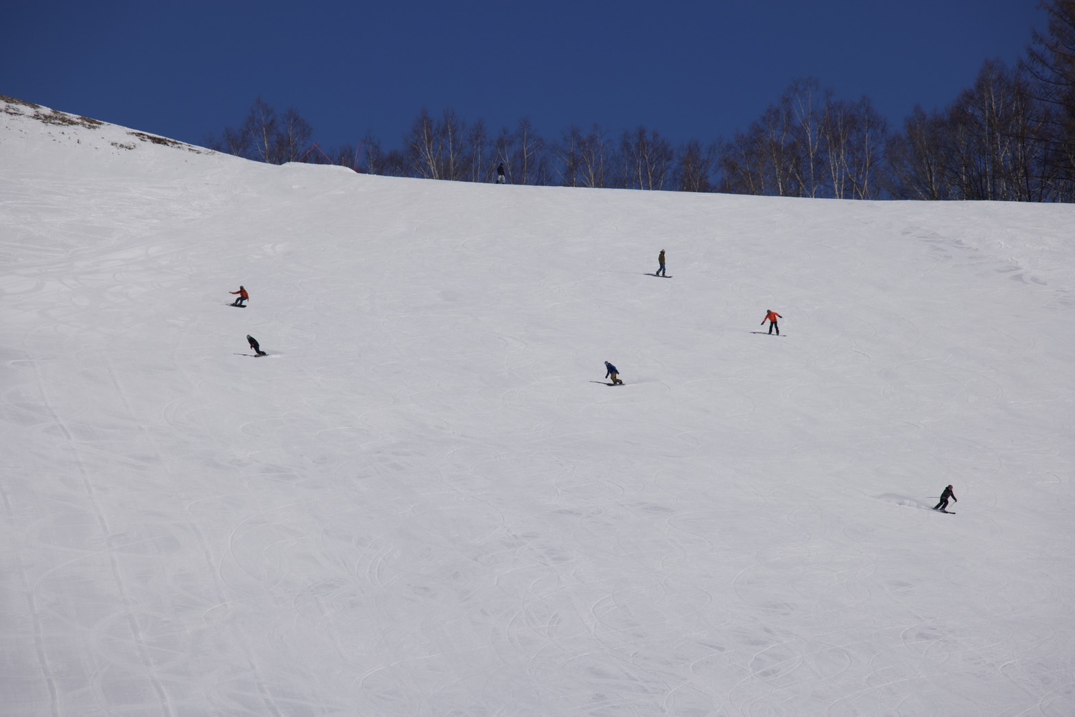 スキー場を滑るスキーヤー