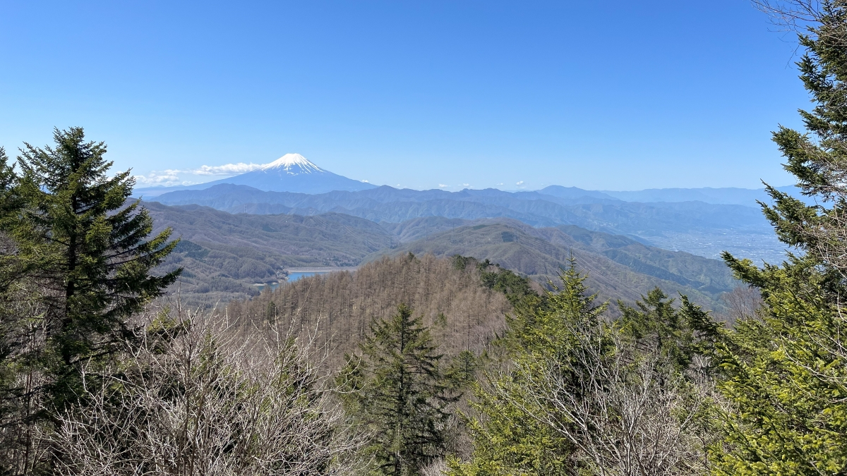 唐松尾根から見える富士山
