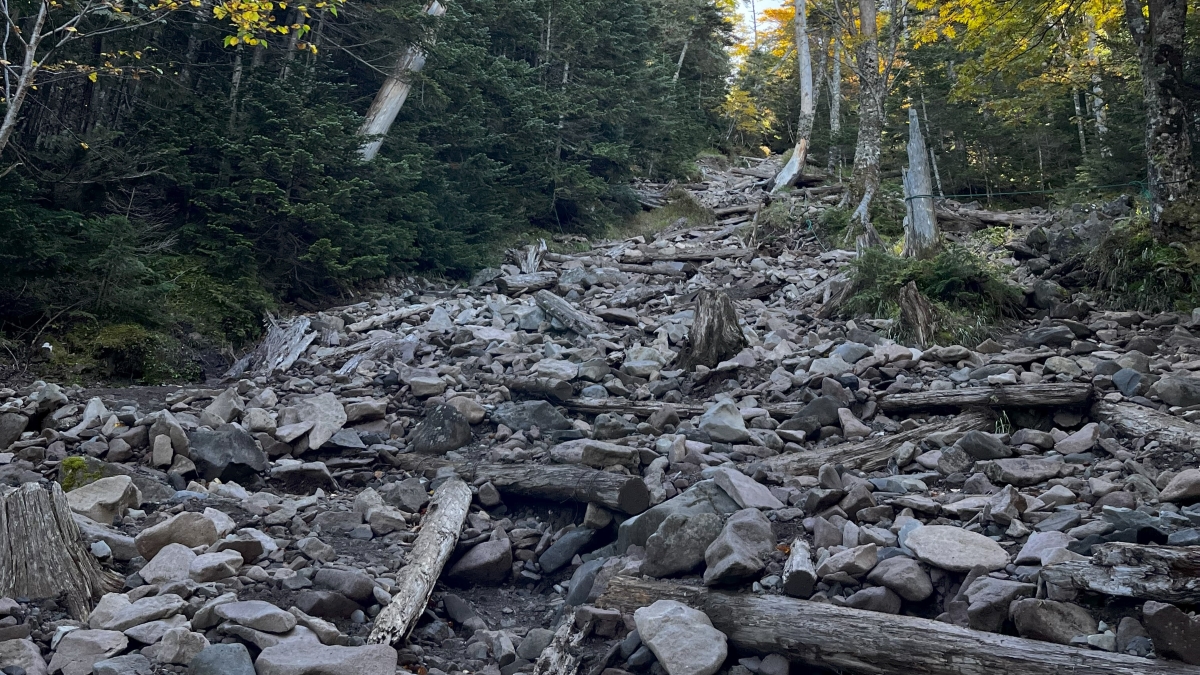 石が沢山の登山道