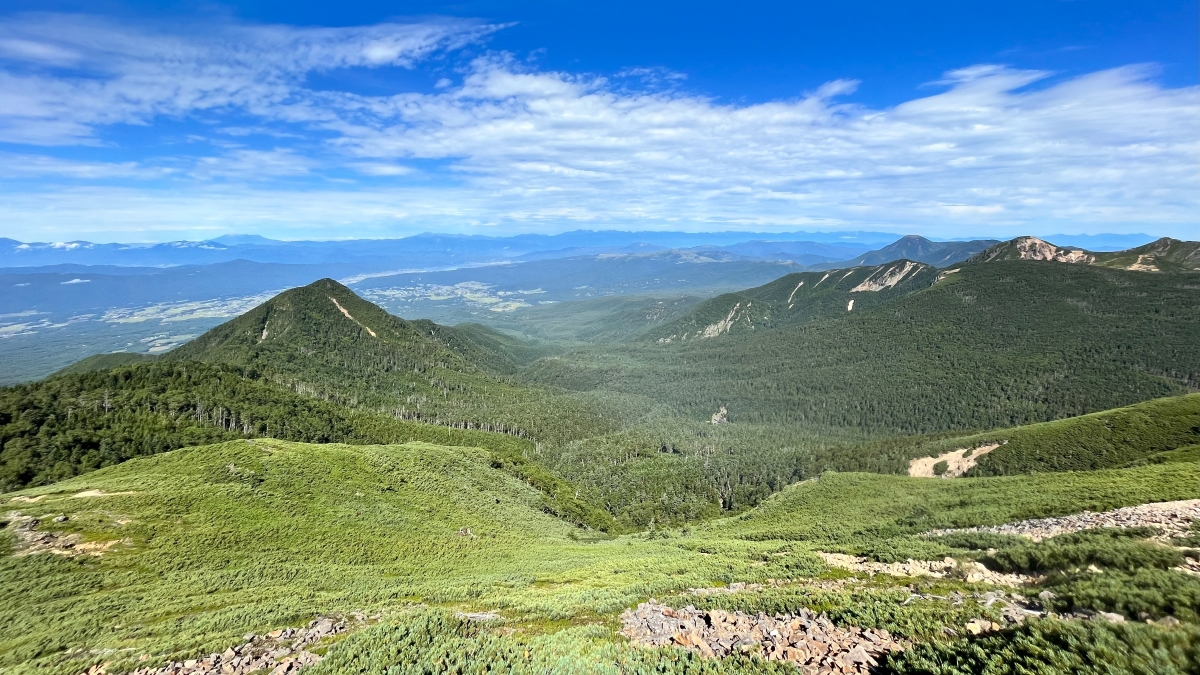 高山植物に囲まれる