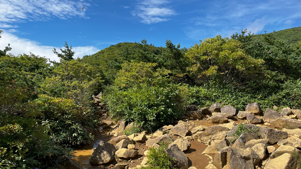 安達太良山の山道