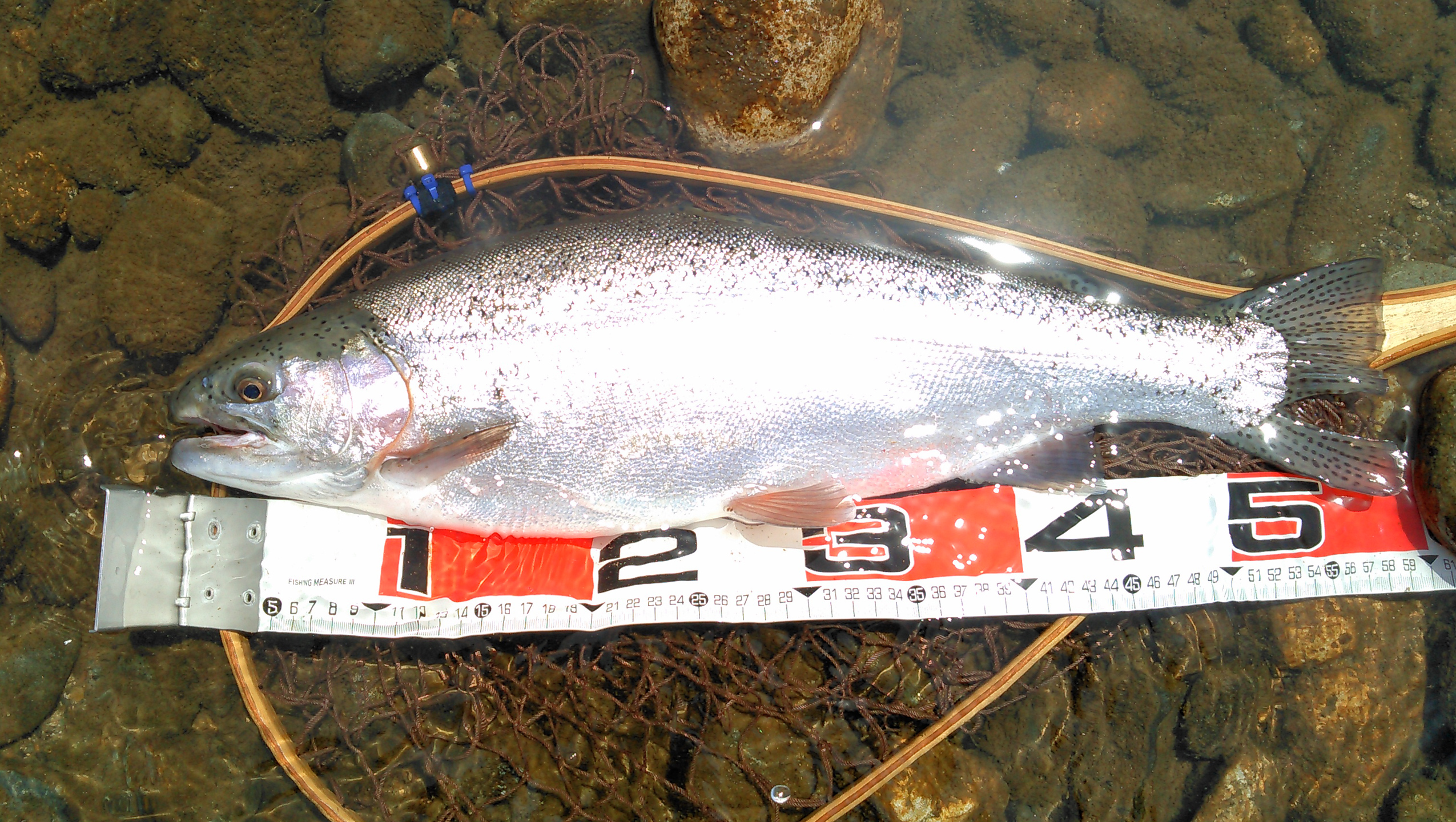 ルアーでの釣り方のコツを解説！本流域ならではの感動を味わおう