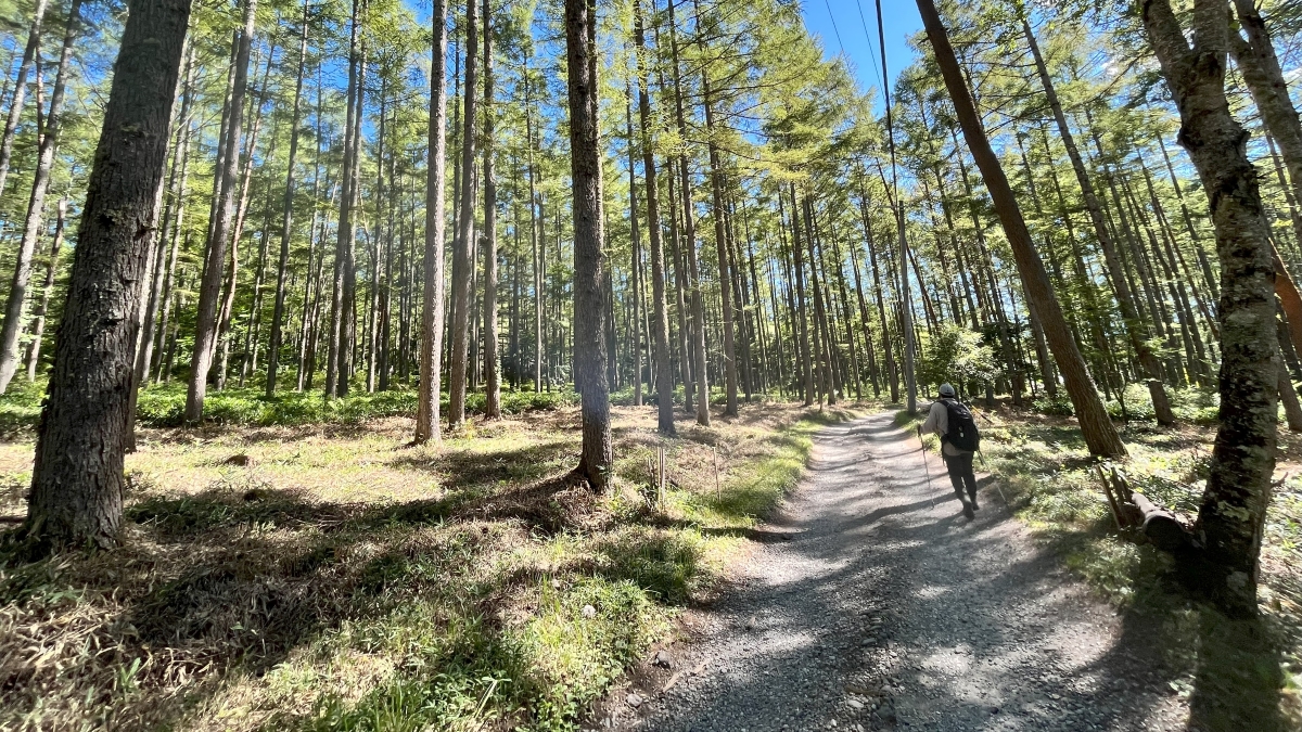 赤岳山荘へ続く道