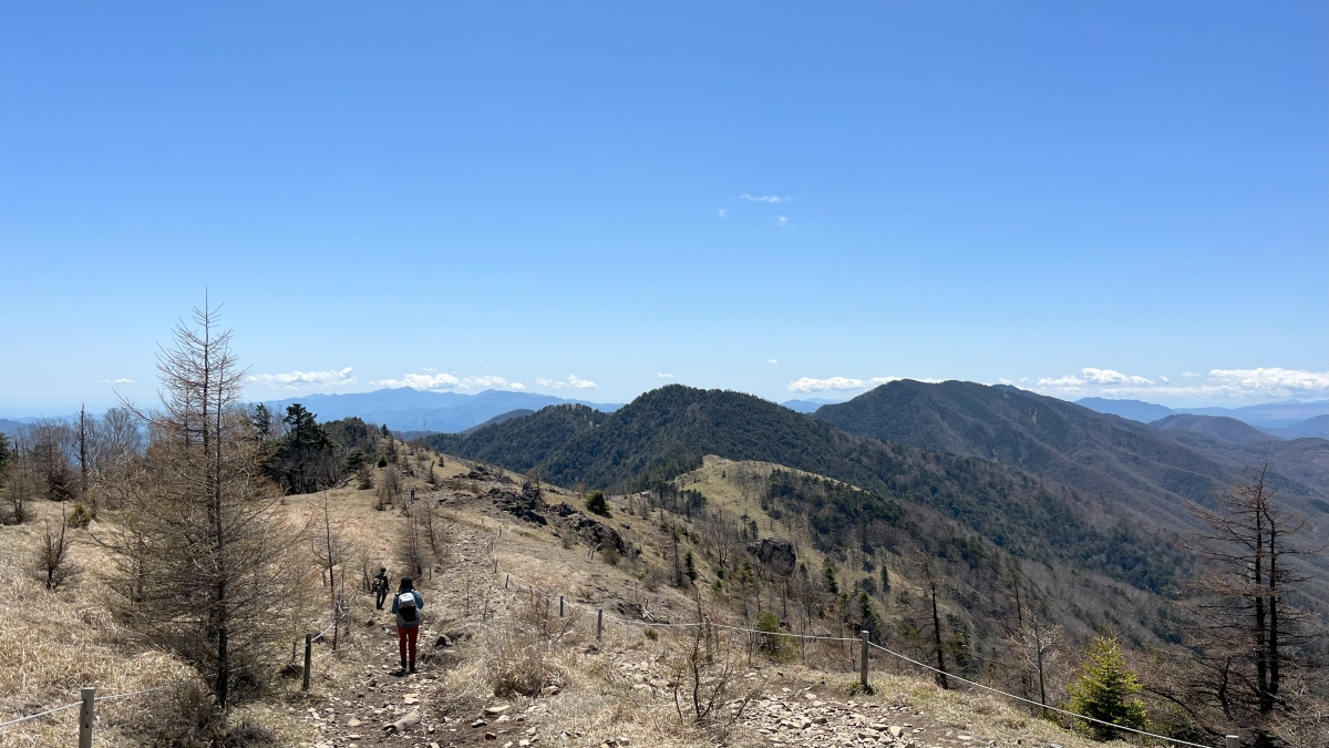 大菩薩峠への稜線