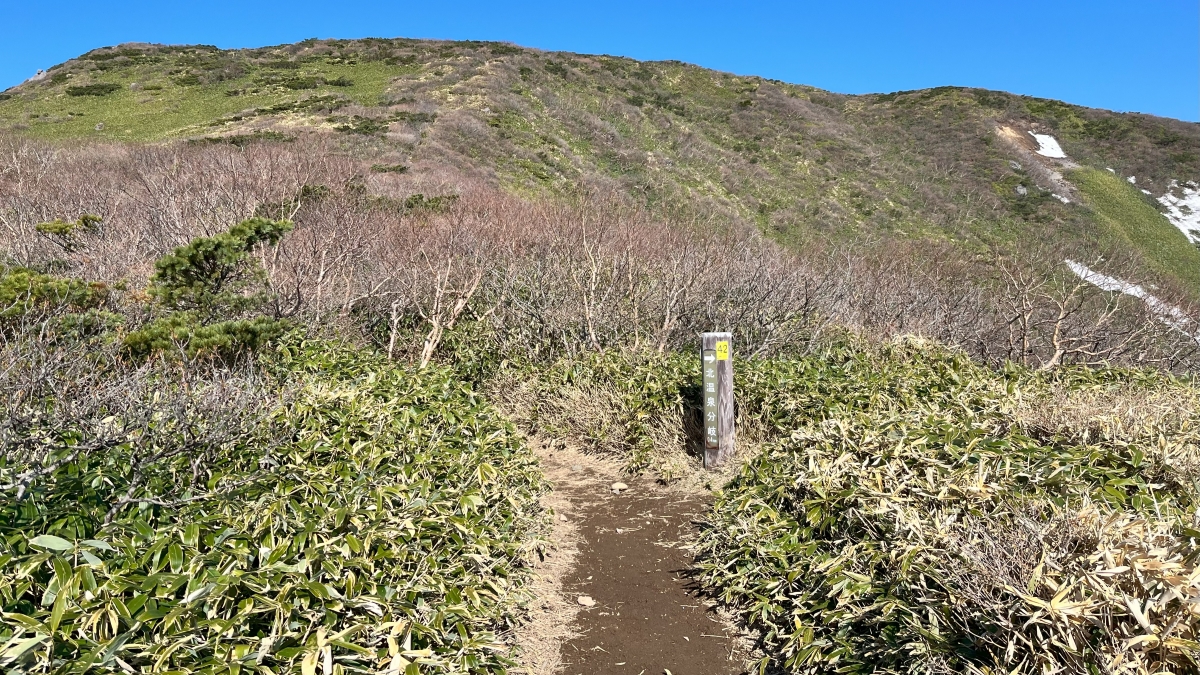 清水平から三本槍岳へ向かう山道