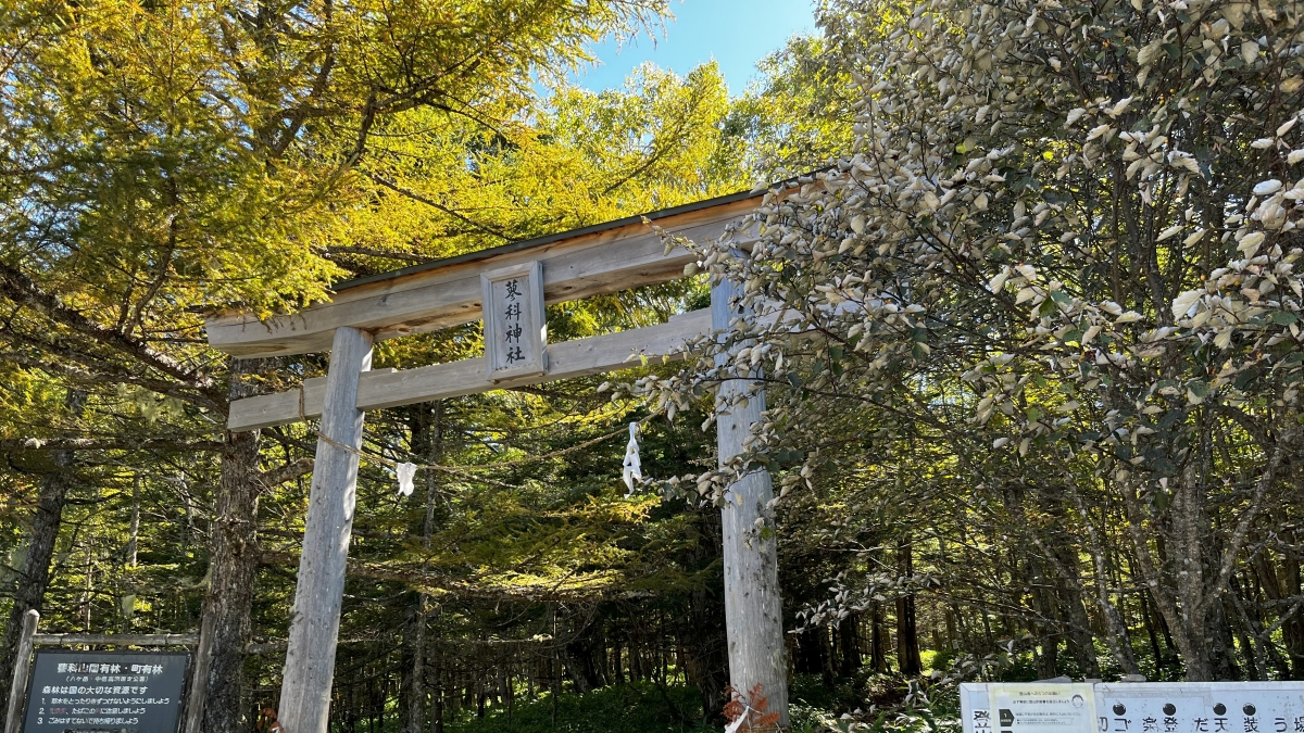 蓼科山の登山口