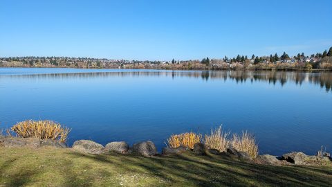 湖畔の移りゆく季節の風景を感じる公園「グリーン・レイク・パーク」【アメリカ西海岸・シアトルで絶景街ハイク（2）】