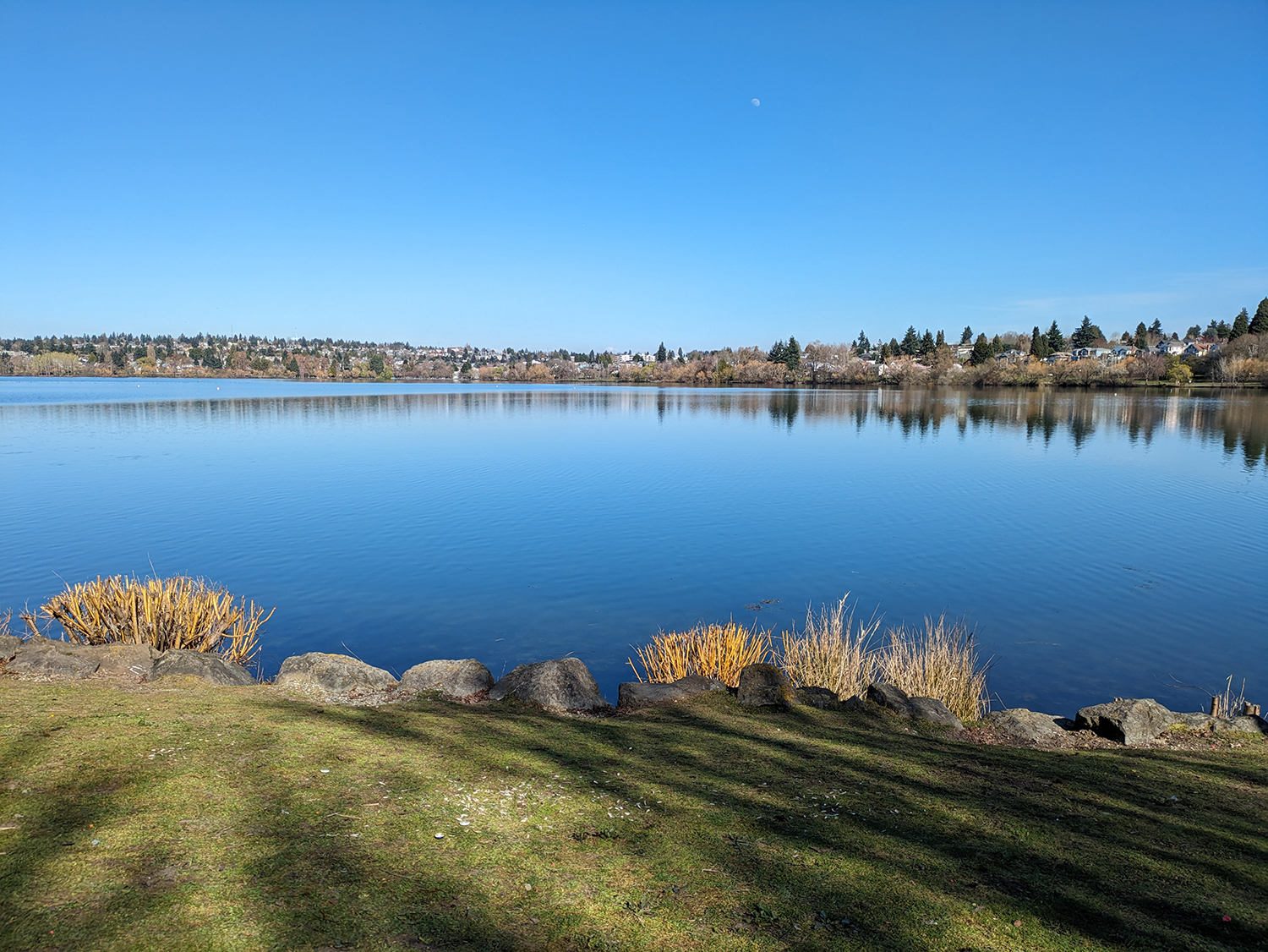 湖畔の移りゆく季節の風景を感じる公園「グリーン・レイク・パーク」【アメリカ西海岸・シアトルで絶景街ハイク（2）】