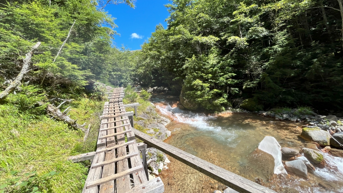 赤岳鉱泉につづく木道