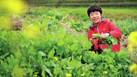 “三大そのへんの草”セリ、ノビル、カラシナの食べ方は？おいしい野草料理レシピを5つご紹介