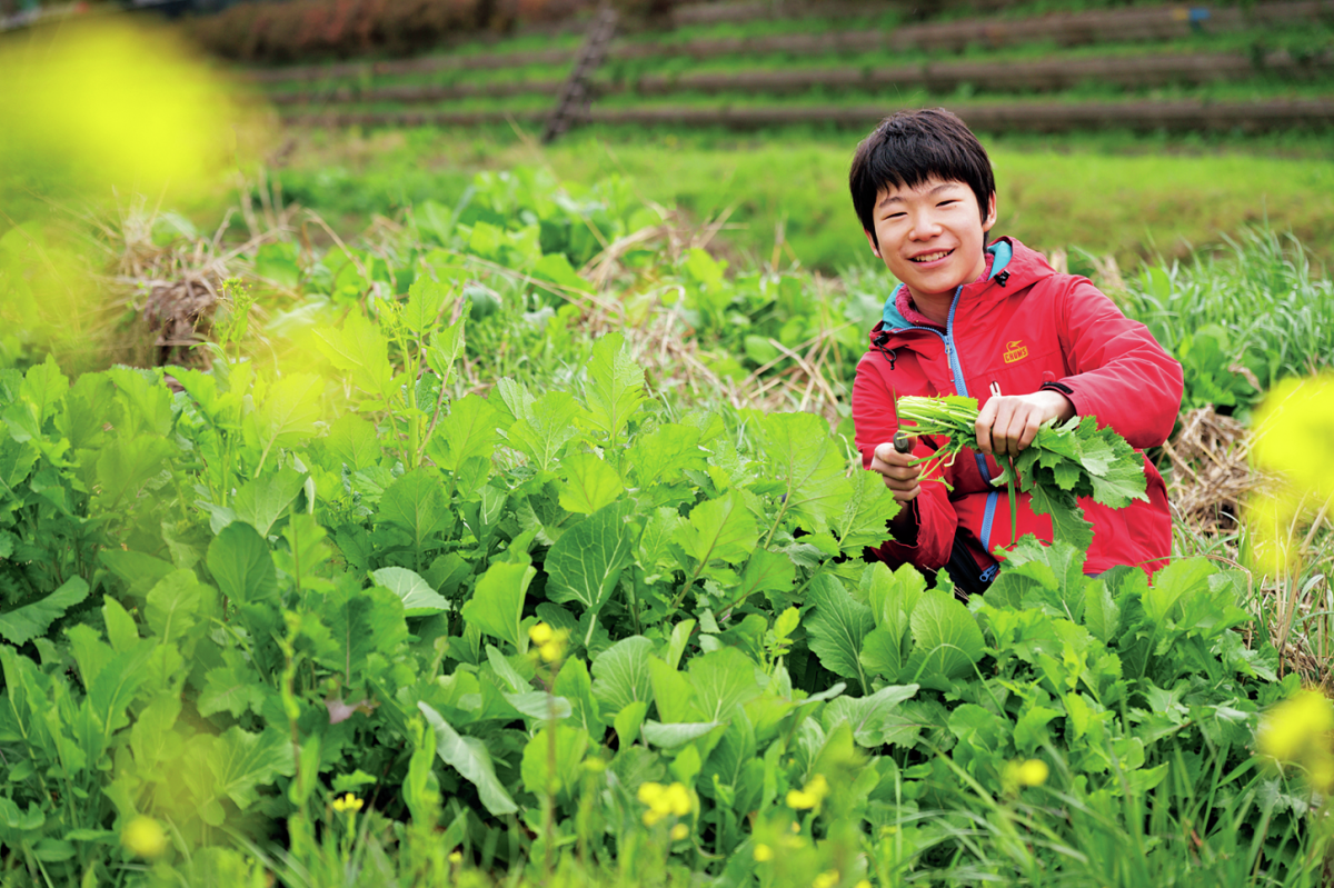 “三大そのへんの草”セリ、ノビル、カラシナの食べ方は？おいしい野草料理レシピを5つご紹介