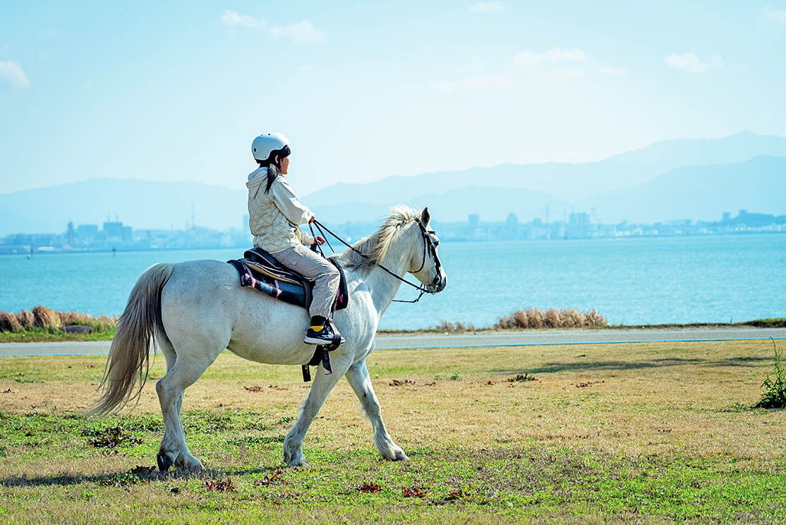 乗馬