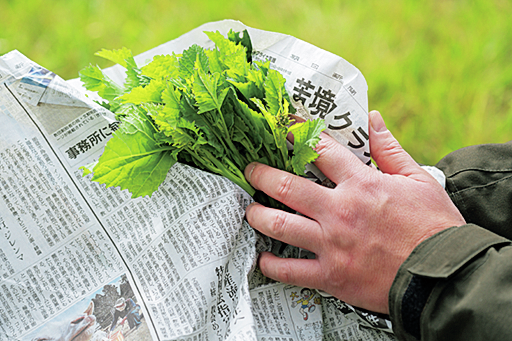 新聞紙