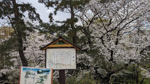 山手線内最高峰の山、箱根山地区編【プロハイカー斉藤正史のTOKYO山頂ガイド File.51-2】