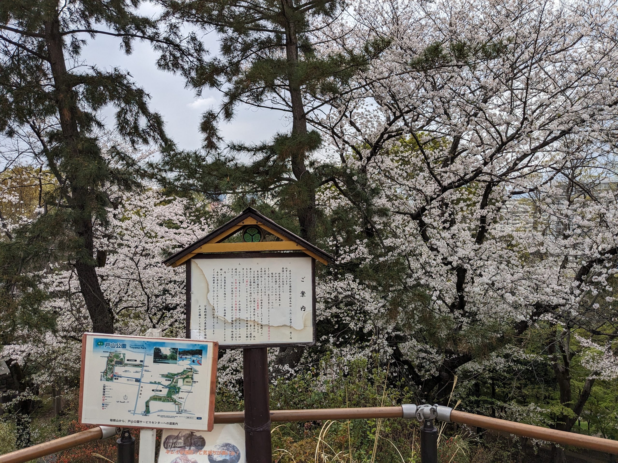 山手線内最高峰の山、箱根山地区編【プロハイカー斉藤正史のTOKYO山頂ガイド File.51-2】