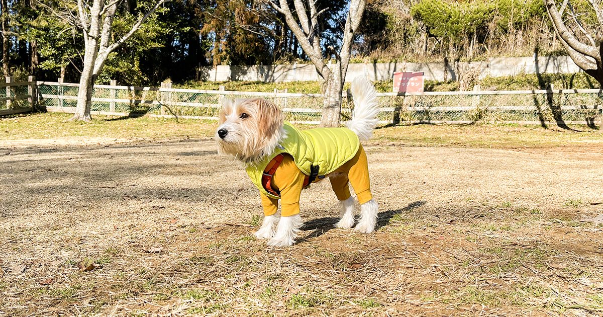 日常からキャンプまで大活躍！愛犬を寒さから守るモンベル「ドッグ