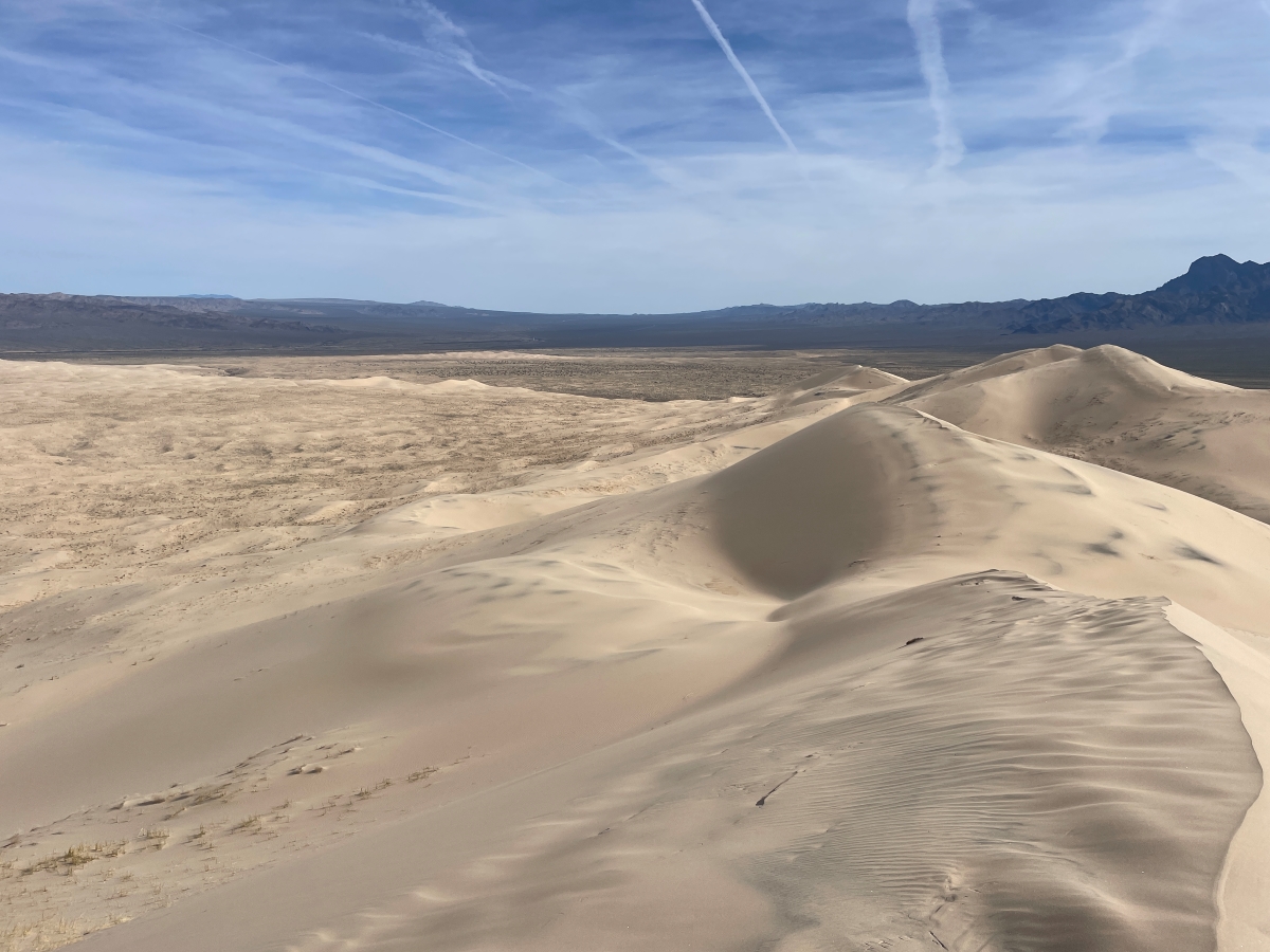 カリフォルニア州にあるモハーベ砂漠をハイキング。見えるものは白い砂と青い空のみ