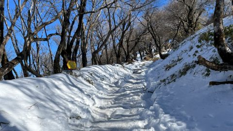 神奈川県の塔ノ岳はきついけど…登山の甲斐あり！オールシーズン楽しめるぞ